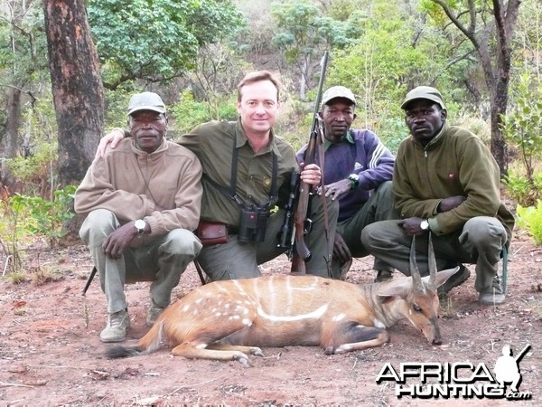 Harnessed Bushbuck hunted in Central African Republic