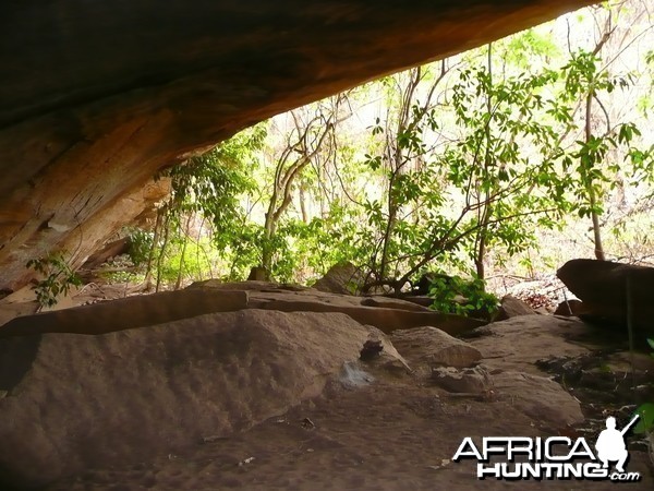 Hunting Central African Republic CAR