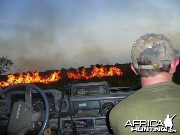 Bush Fires CAR