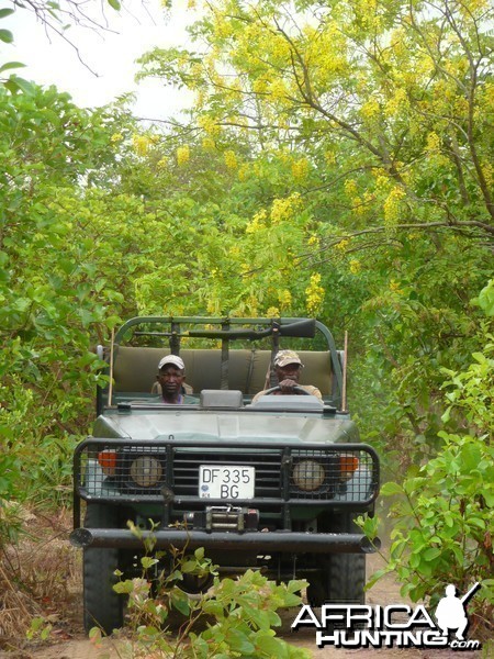 Hunting Central African Republic CAR