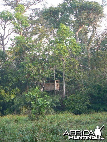 Hunting Central African Republic CAR