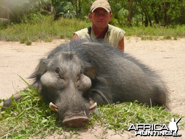 Hunting Giant Forest Hog in Central Africa