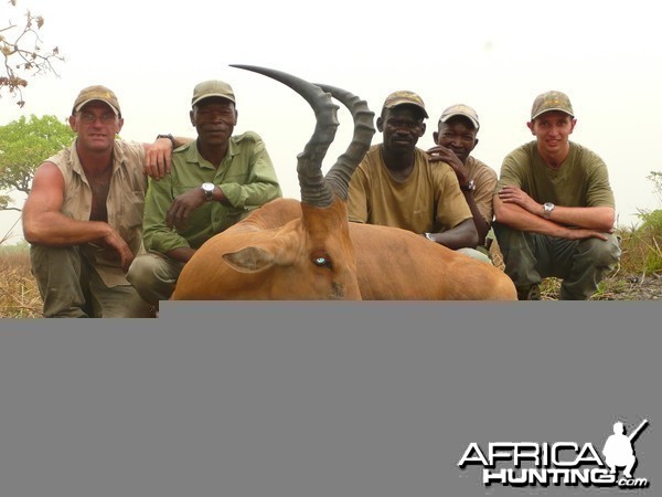 Very good 24' inches lelwel hartebeest hunted in Central African Republic