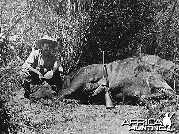 Ernest Hemingway and Buffalo