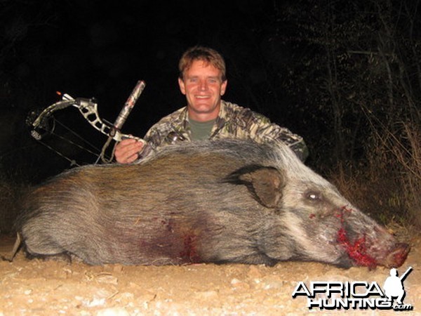 Malcolm Thomson Bowhunting Bushpig