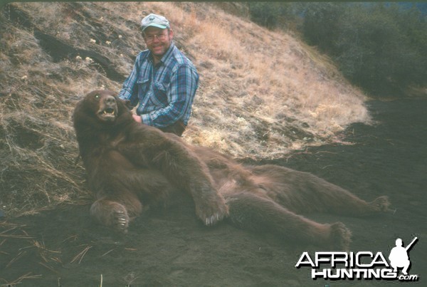 1998 California brown bear