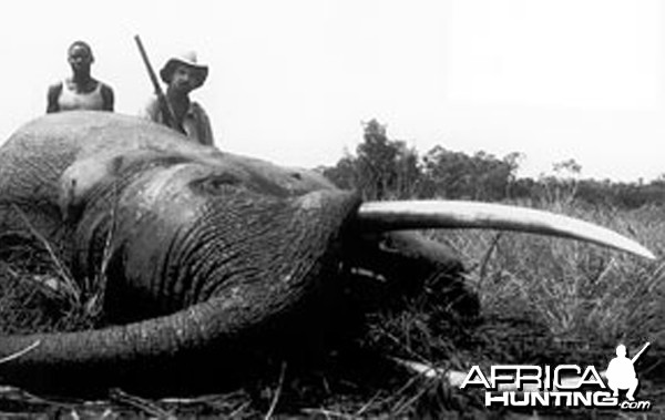 Jorge Alves de Lima, Professional Hunter, with Elephant