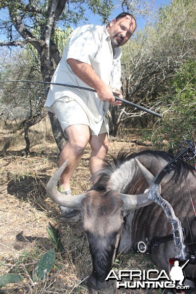 Bowhunting Blue Wildebbest South Africa