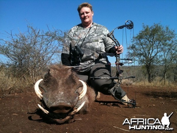 Bowhunting Warthog South Africa