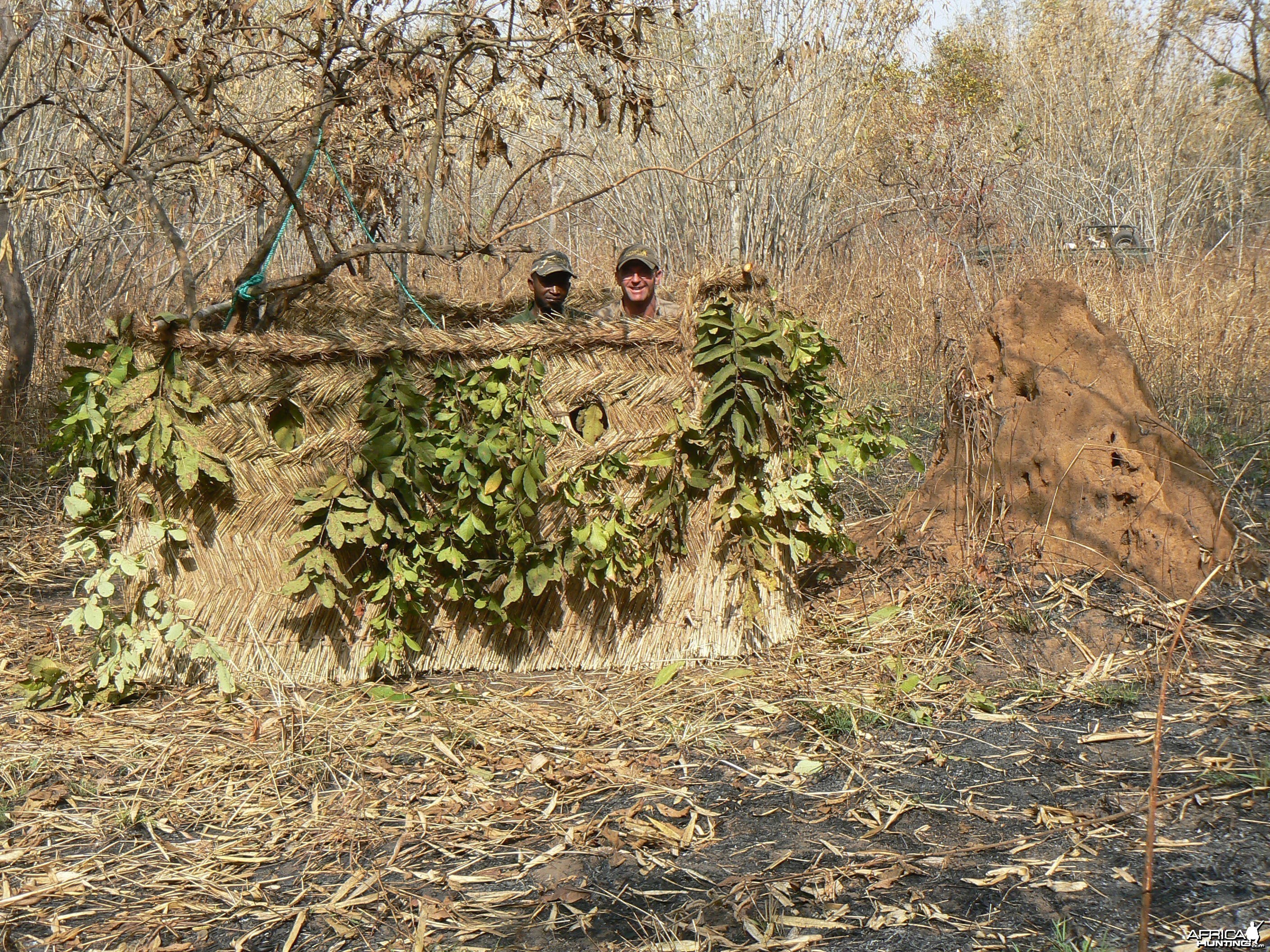 Leopard blind in Central Africa