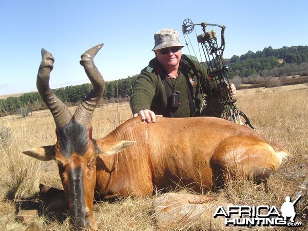 Good Hartebeest