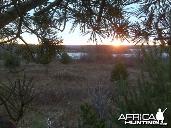 The view from my treestand on opening morning, US