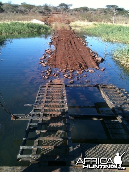 &quot;Ferry&quot; at Pongola Game Reserve, SA