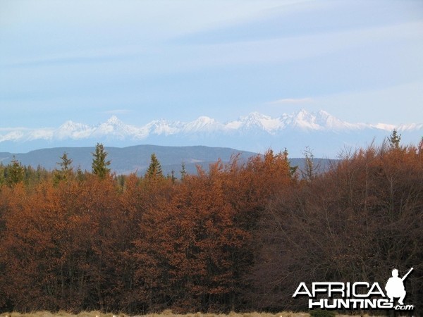 My hunting views from Slovakia