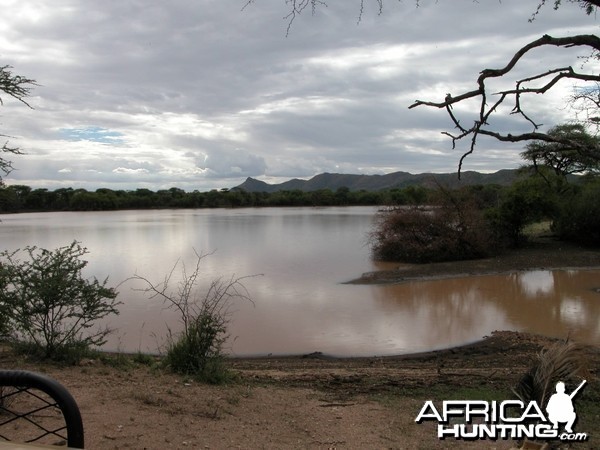 Africa Namibia Waterhole