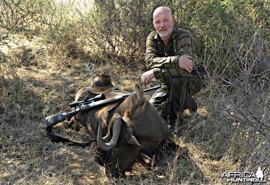 Black Wildebeest Cow - Kataneno