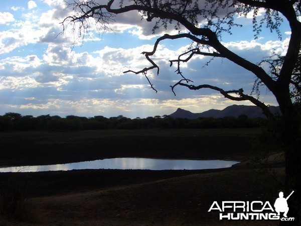 Africa Namibia Waterhole