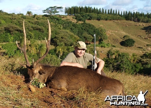 Rusa deer hunted in Mauritius