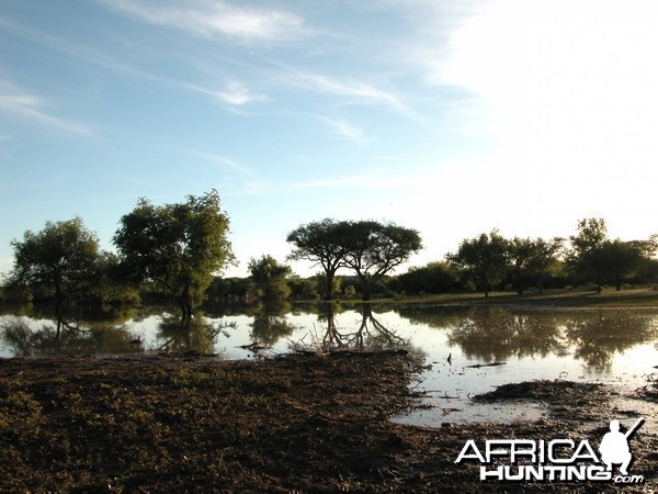 Africa Namibia Waterhole Raining Season