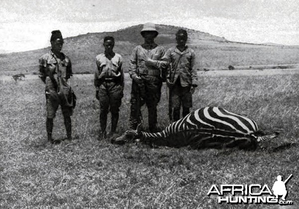 A zebra shot by Theodore Roosevelt