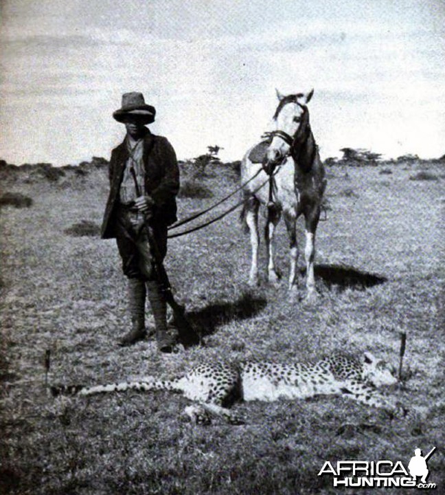 Tarlton and cheetah shot by Kermit Roosevelt