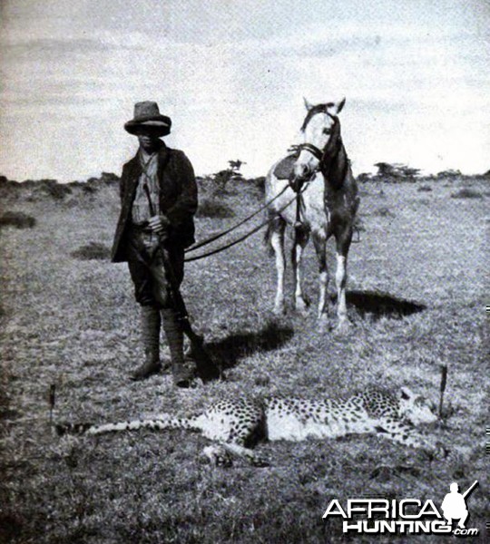 Tarlton and cheetah shot by Kermit Roosevelt