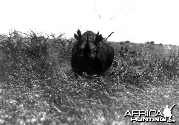 Theodore Roosevelt, black rhino