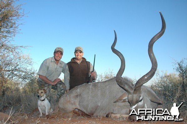 Very good Kudu Bull