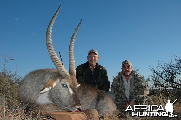 29 inch waterbuck