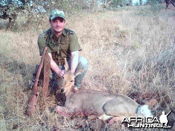Mountain Reedbuck hunted in South Africa