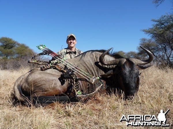 Bowhunting Blue Wildebeest South Africa