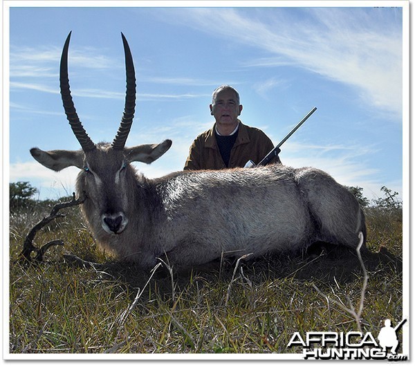 Waterbuck South Africa