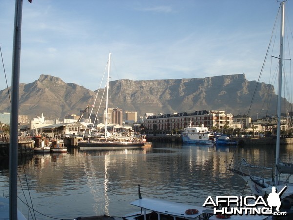 Table Mountain from the V&amp;A Waterfront