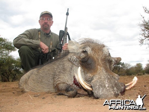 Warthog Limpopo River area SA