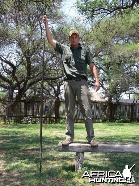 Black Mamba South Africa Huge Snake