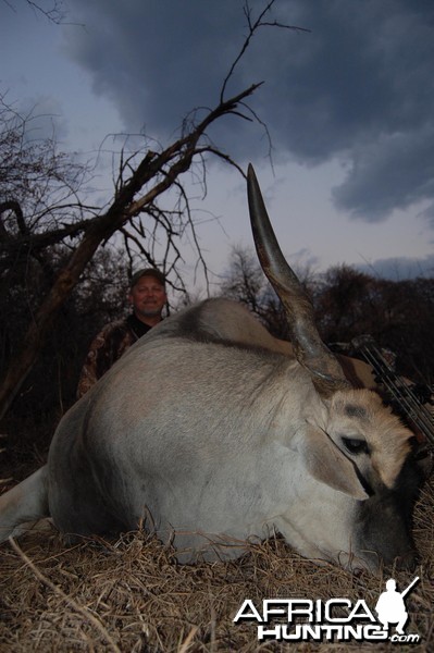 Eland bowhunt in South Africa