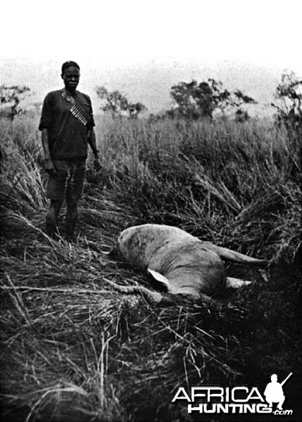 Chumamaboko standing by a Jackson's Hartebeest