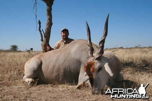 Cape Eland