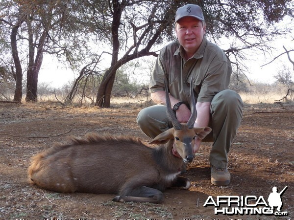 Bushbuck South Africa