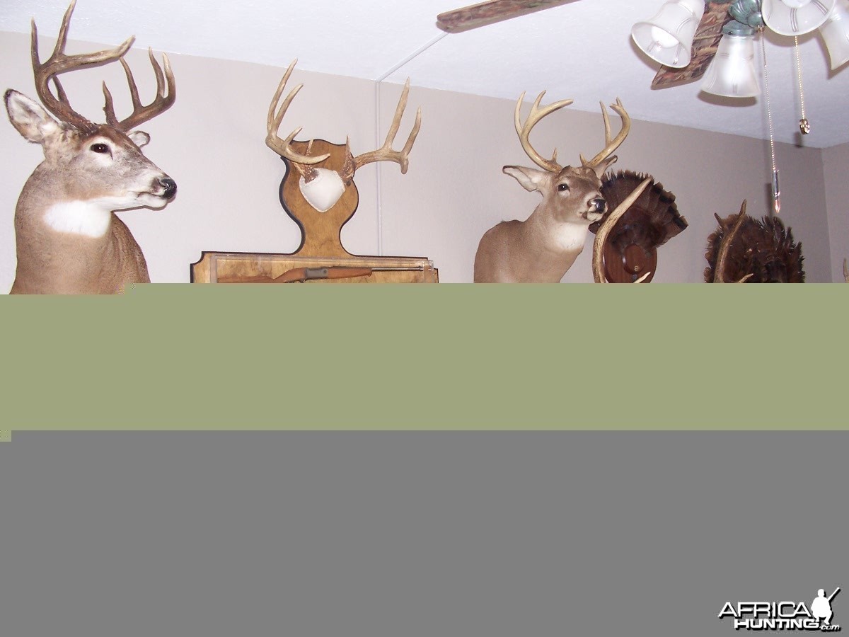 New Trophy Room