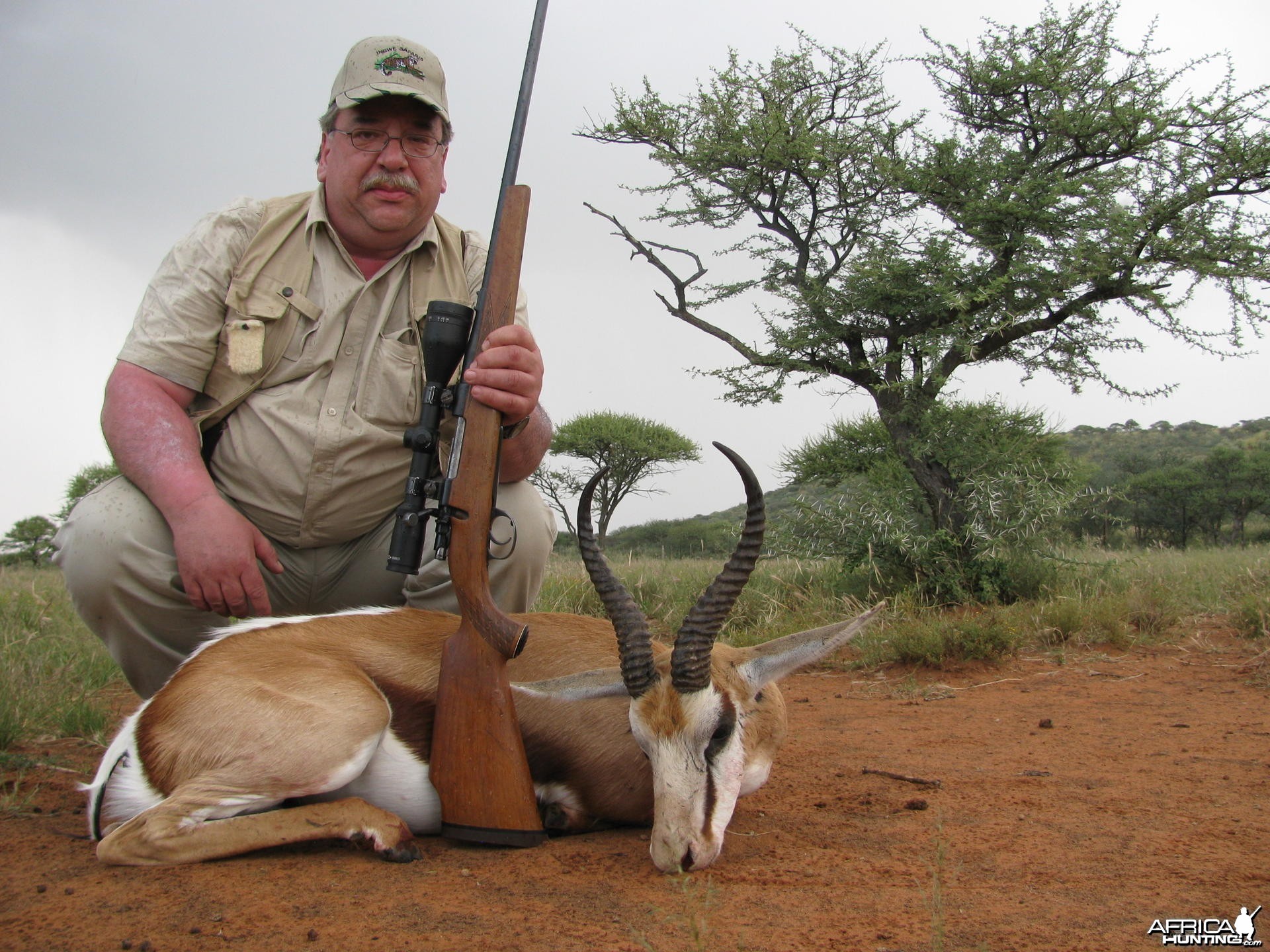 Hunting Springbok