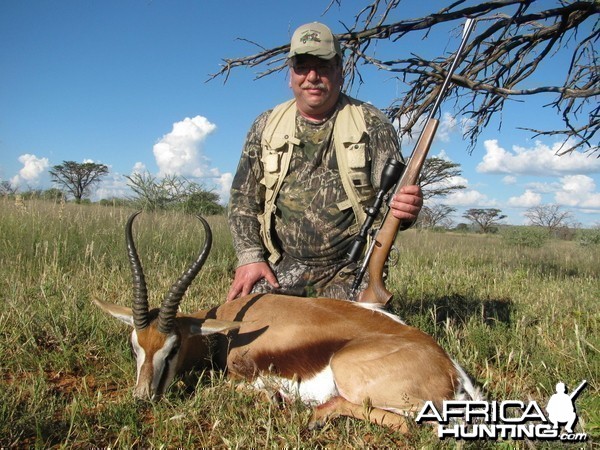 Hunting Springbok