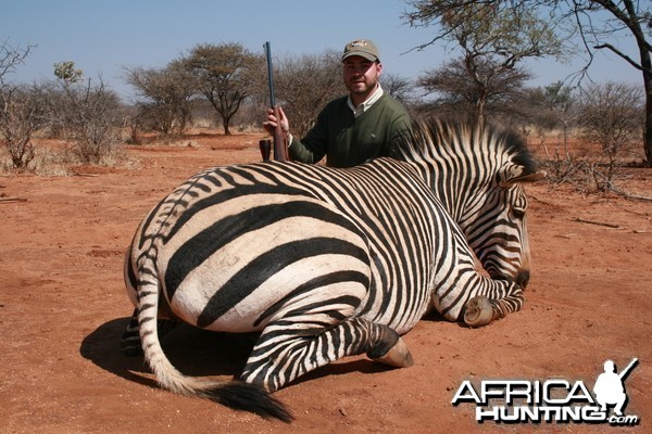 Hartmann Zebra, Namibia