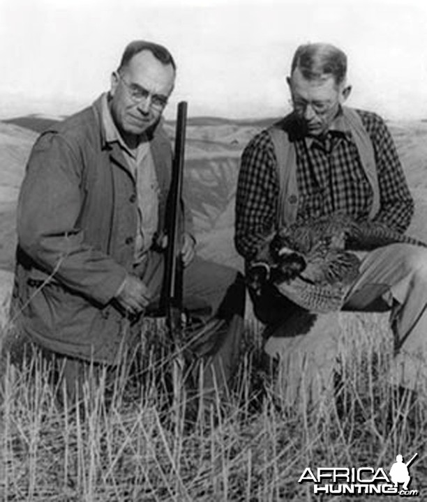 Jack O'Connor Pheasant hunting