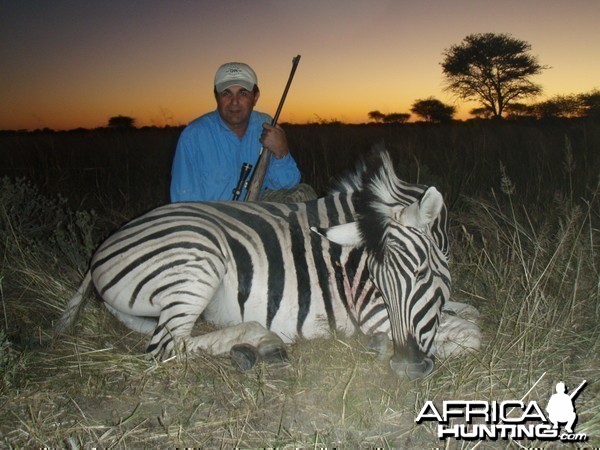 Hunting Zebra in Namibia