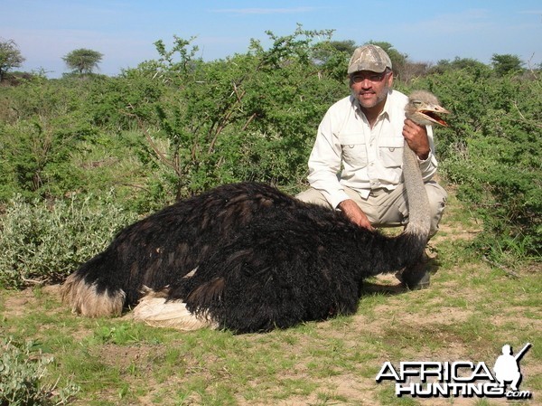 Hunting Ostrich in Namibia