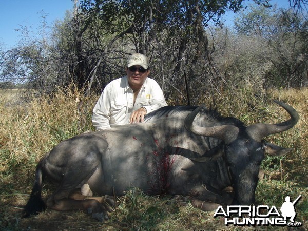 Hunting Gnu in Namibia