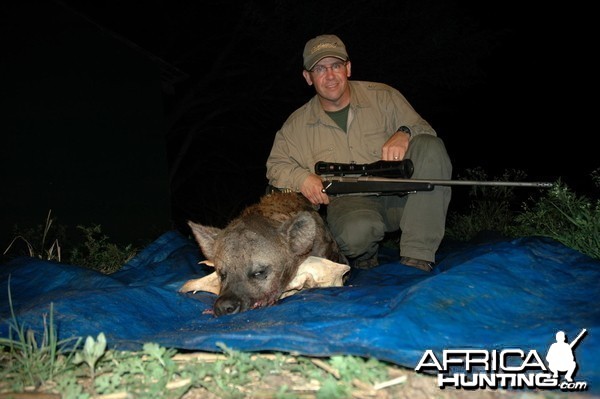 Smallest Hyena I've Ever Shot!