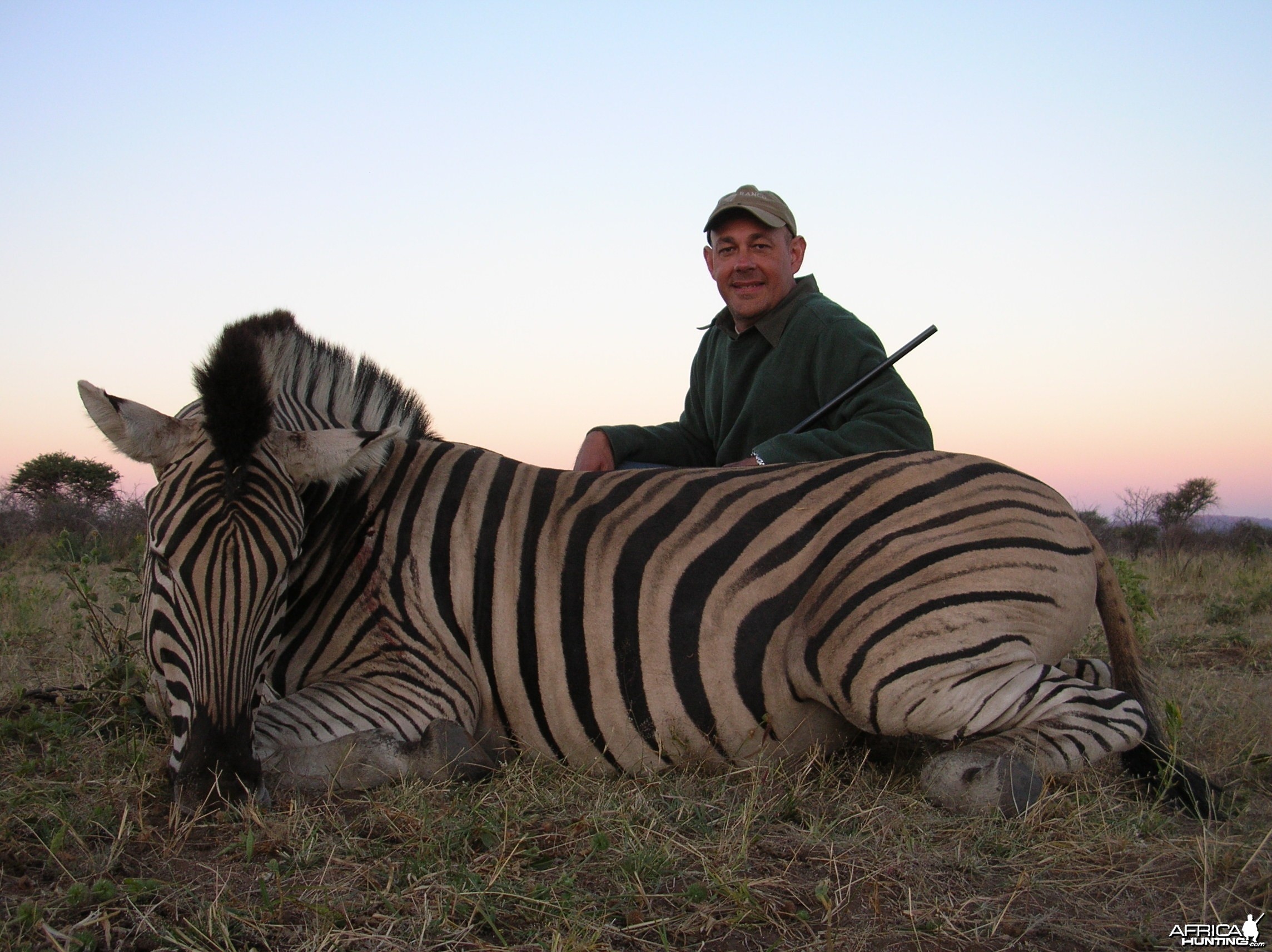Hunting Plain Zebra in Namibia