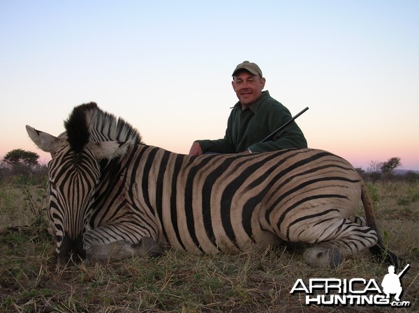 Hunting Plain Zebra in Namibia